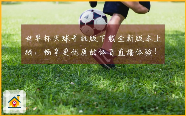 世界杯买球手机版下载全新版本上线，畅享更优质的体育直播体验！