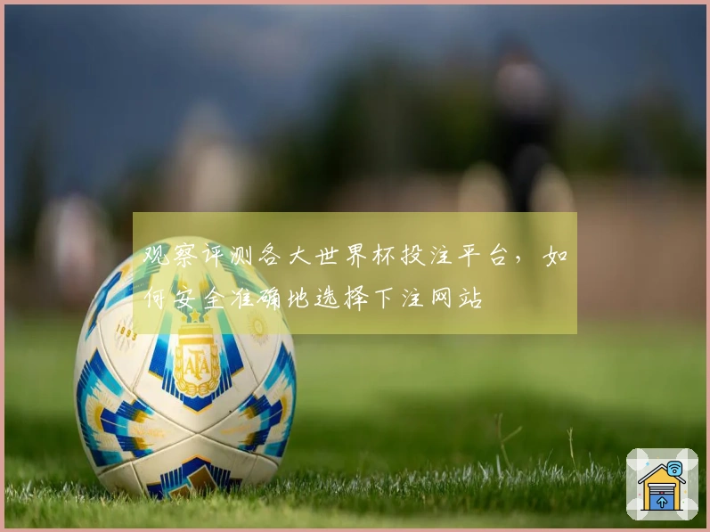 观察评测各大世界杯投注平台，如何安全准确地选择下注网站
