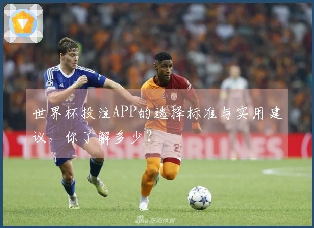 世界杯投注APP的选择标准与实用建议，你了解多少？
