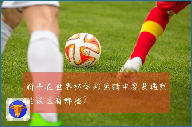 新手在世界杯体彩竞猜中容易遇到的误区有哪些？