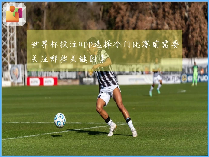 世界杯投注app选择冷门比赛前需要关注哪些关键因素