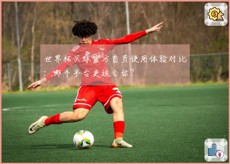世界杯买球官方首页使用体验对比：哪个平台更适合你？