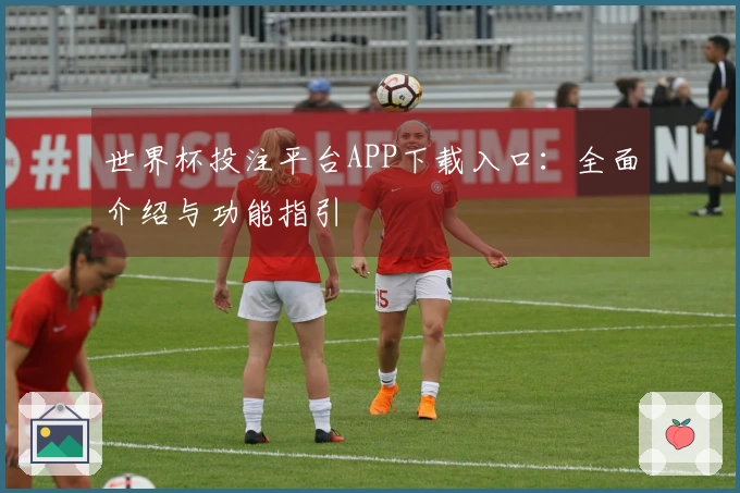 世界杯投注平台APP下载入口:全面介绍与功能指引