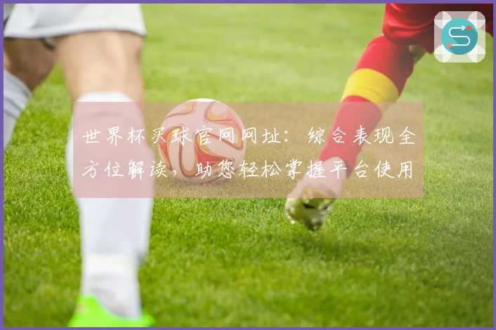 世界杯买球官网网址：综合表现全方位解读，助您轻松掌握平台使用指南