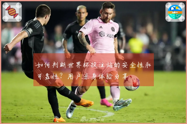 如何判断世界杯投注站的安全性和可靠性？用户亲身体验分享
