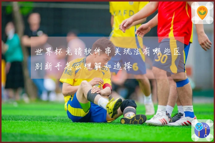 世界杯竞猜软件串关玩法有哪些区别新手怎么理解和选择