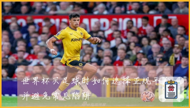 世界杯买足球时如何选择正规平台并避免常见陷阱