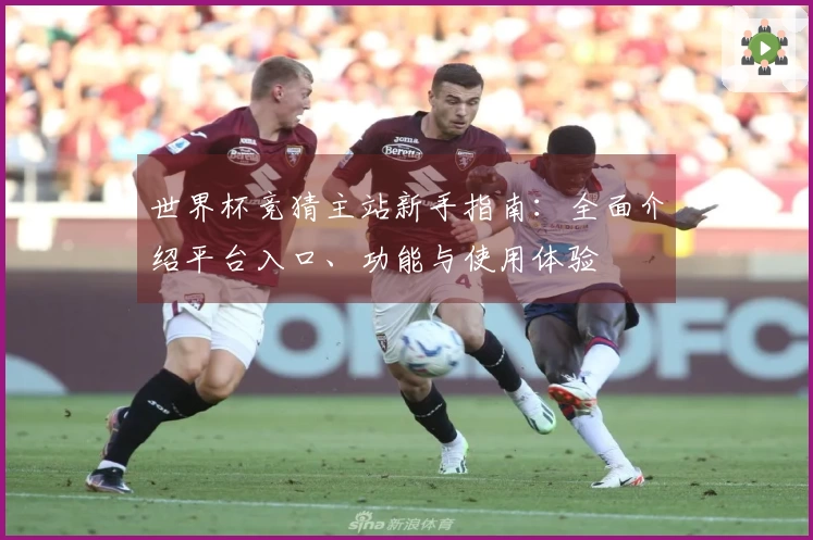 世界杯竞猜主站新手指南：全面介绍平台入口、功能与使用体验