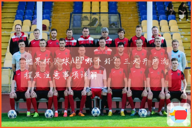 世界杯买球APP哪个好？三大开户流程及注意事项详解