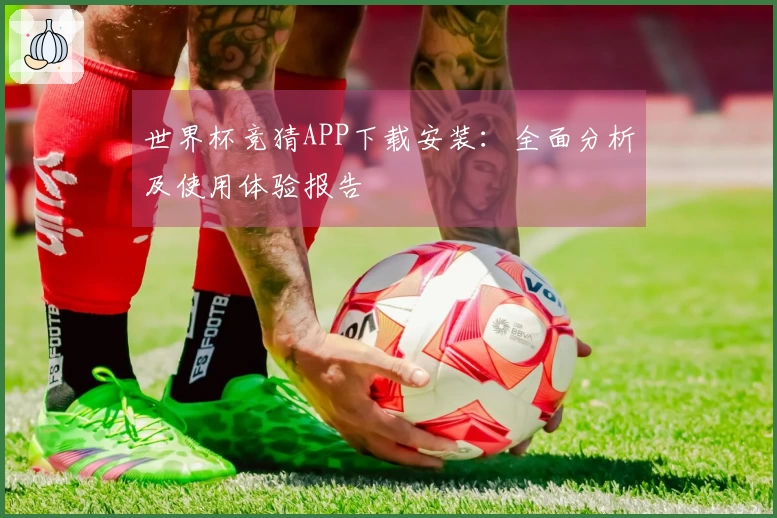 世界杯竞猜APP下载安装：全面分析及使用体验报告