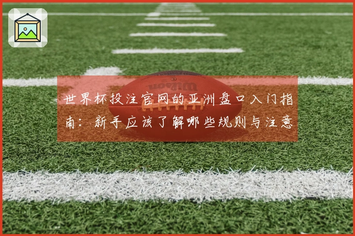 世界杯投注官网的亚洲盘口入门指南：新手应该了解哪些规则与注意事项