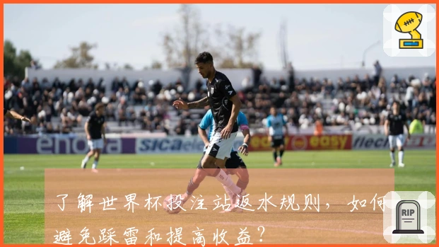 了解世界杯投注站返水规则，如何避免踩雷和提高收益？