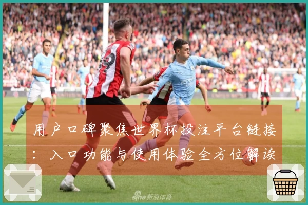 用户口碑聚焦世界杯投注平台链接：入口功能与使用体验全方位解读