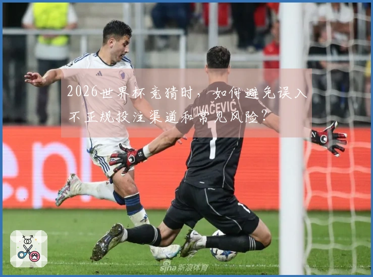 2026世界杯竞猜时，如何避免误入不正规投注渠道和常见风险？