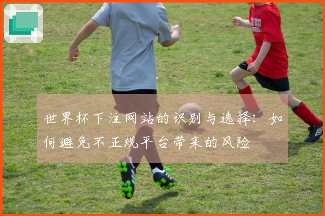世界杯下注网站的识别与选择：如何避免不正规平台带来的风险