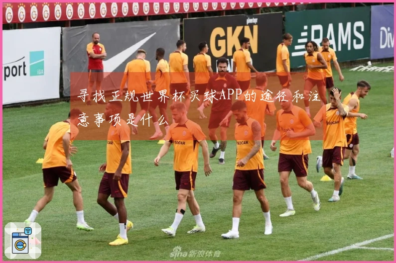 寻找正规世界杯买球APP的途径和注意事项是什么