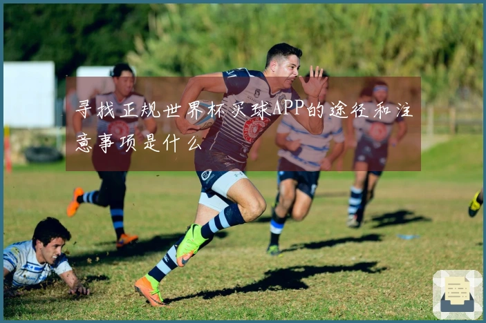 寻找正规世界杯买球APP的途径和注意事项是什么